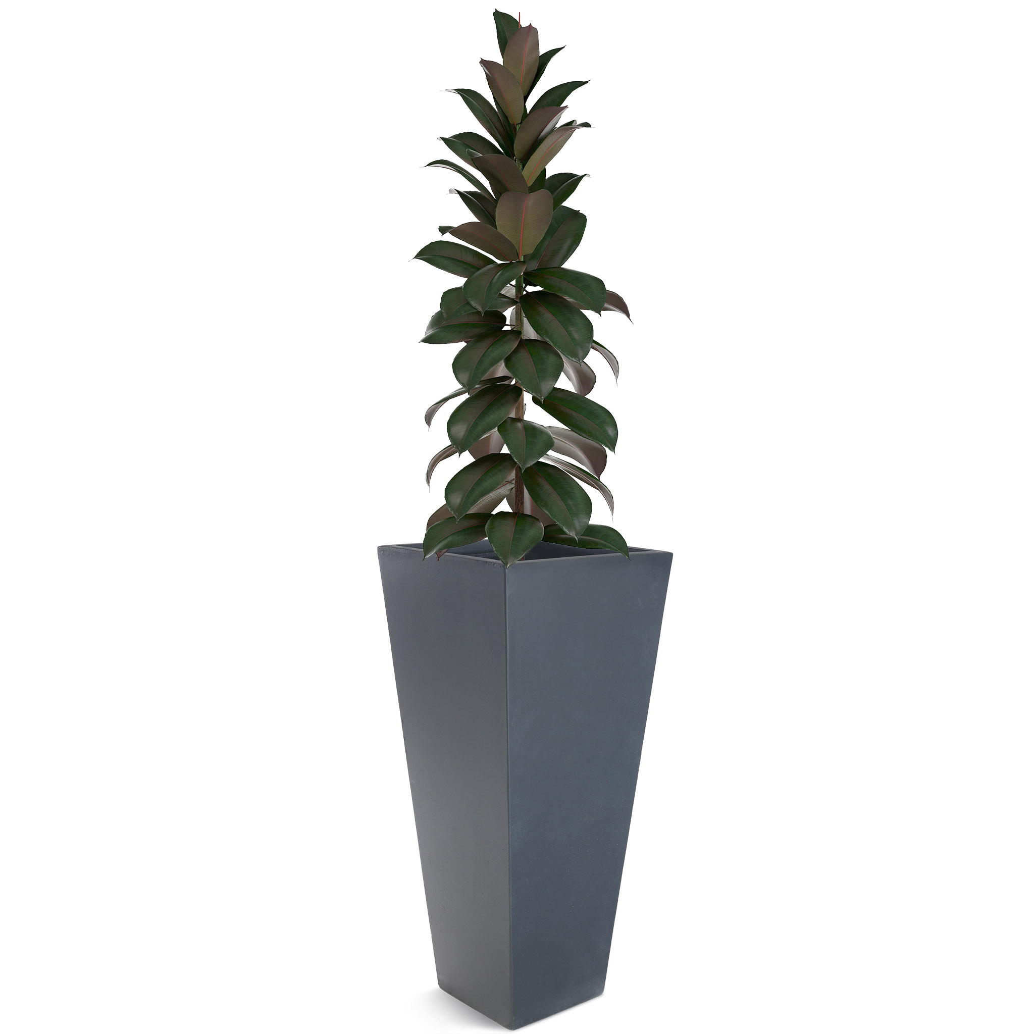 Korkea kuituvahvistettu ruukku ulkokäyttöön - Graniitti/musta Korkea kuituvahvistettu ruukku ulkokäyttöön - Graniitti/musta