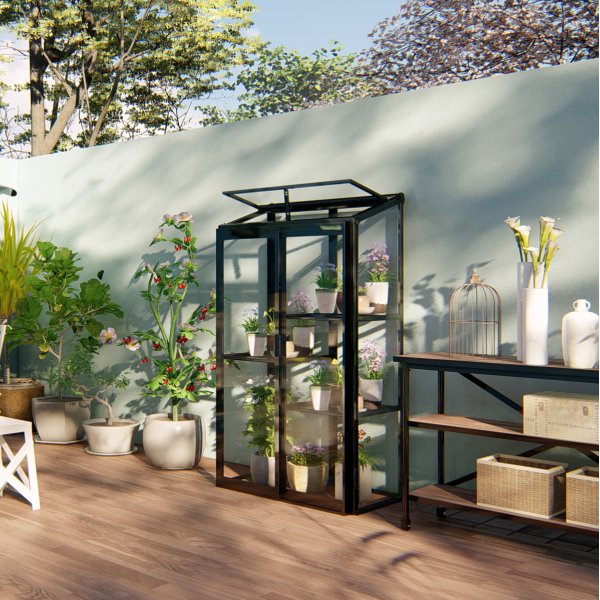 Korkea minikasvihuone | 4mm turvalasi | Musta