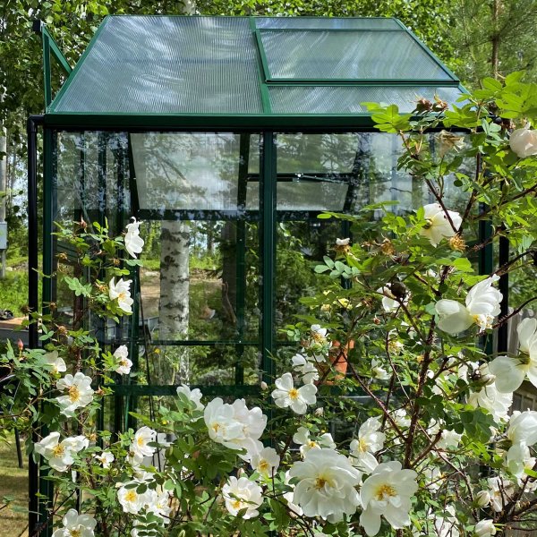 Kasvihuone 3,3m² | 4mm turvalasi | 5 vuoden myrskytakuu Kasvihuone 3,3m² | 4mm turvalasi | 5 vuoden myrskytakuu