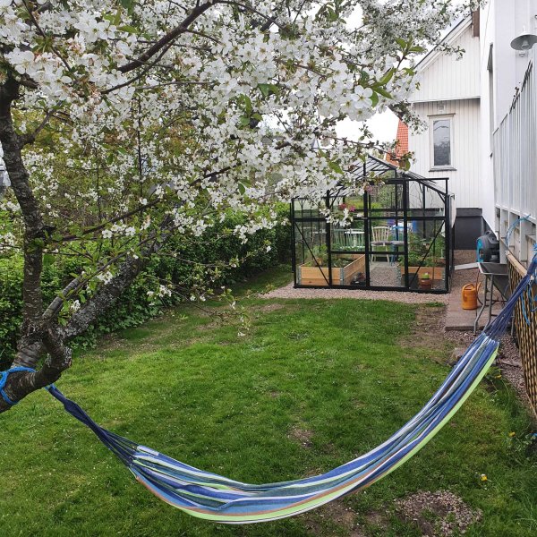 Lasikasvihuone 11,1m | 4mm turvalasi | 5 vuoden myrskytakuu