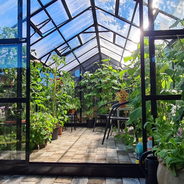 Kasvihuone 9,6 m | 4mm turvalasi | 5 vuoden myrskytakuu