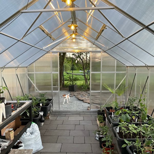 Kasvihuone 18m Premium | Erittin korkea viljelykorkeus | 6mm kanava muovia