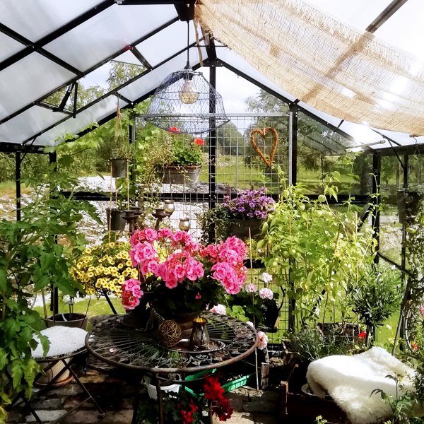 Lasikasvihuone 11,1m | 4mm turvalasi | 5 vuoden myrskytakuu