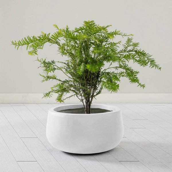 Kuituvahvisteiset ulkoruukut | 3 kpl | Valkoinen