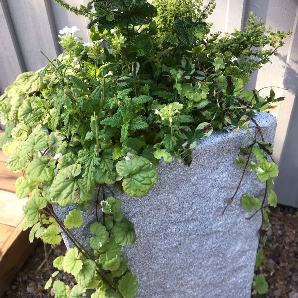 Korkea kuituvahvistettu ruukku ulkokäyttöön - Kivenharmaa Korkea kuituvahvistettu ruukku ulkokäyttöön - Kivenharmaa