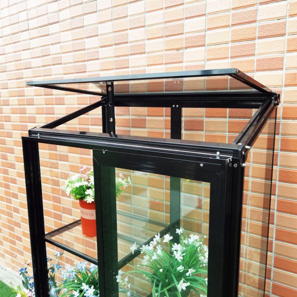 Korkea minikasvihuone | 4mm turvalasi | Musta