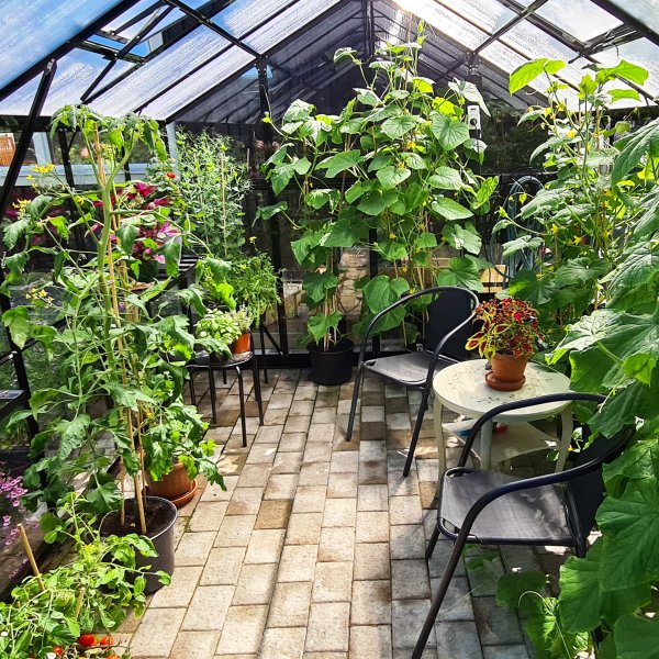 Kasvihuone 9,6 m | 4mm turvalasi | 5 vuoden myrskytakuu