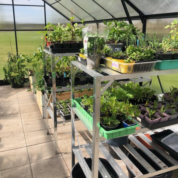 Kasvihuone 18m Premium | Erittin korkea viljelykorkeus | 6mm kanava muovia