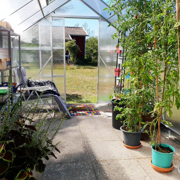 Kasvihuone 12,4m² | Korkea viljelykorkeus | 6mm kanava muovia Kasvihuone 12,4m² | Korkea viljelykorkeus | 6mm kanava muovia