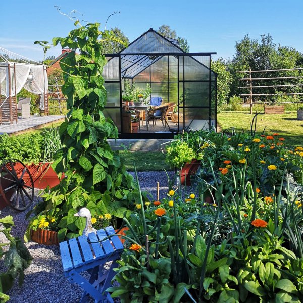 Kasvihuone 18m Premium | Erittin korkea viljelykorkeus | 6mm kanava muovia