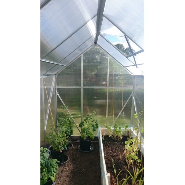 Kasvihuone 5,6m | Korkea viljelykorkeus | Kanava muovia