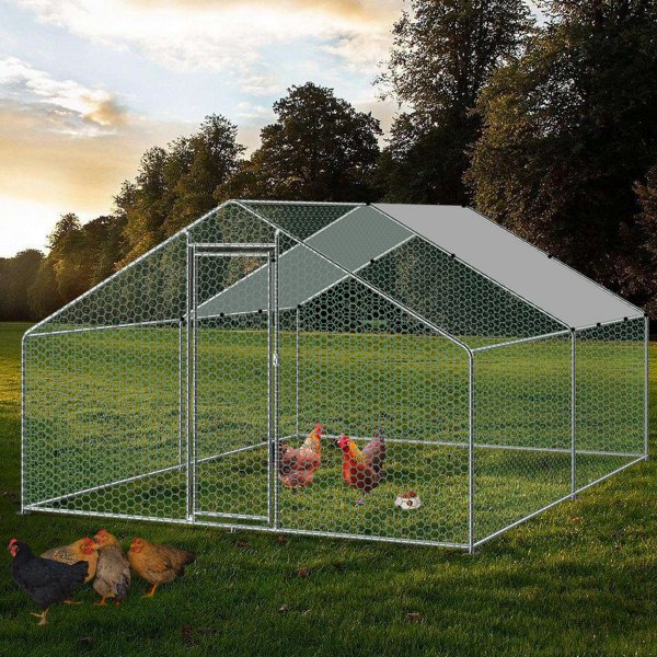 Kanahäkki galvanoitua terästä | Kevyesti puhdistettu | Korkea seisomakorkeus Kanahäkki galvanoitua terästä | Kevyesti puhdistettu | Korkea seisomakorkeus