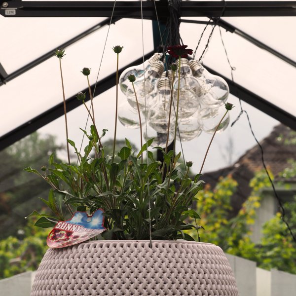 Kasvihuone 6,4 m² | 4 mm turvalasi | 5 vuoden myrskytakuu Kasvihuone 6,4 m² | 4 mm turvalasi | 5 vuoden myrskytakuu