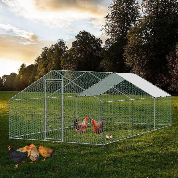 Kanahäkki galvanoitua terästä | Kevyesti puhdistettu | Korkea seisomakorkeus Kanahäkki galvanoitua terästä | Kevyesti puhdistettu | Korkea seisomakorkeus