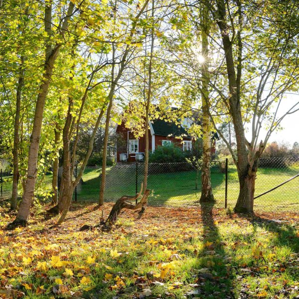 Villa-aitaus 100cm korkea | 25 metrin paketti