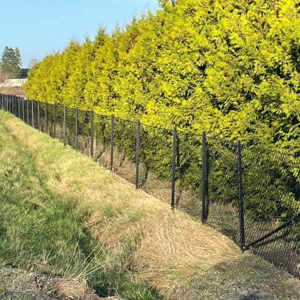 Villa-aitaus 150cm korkea | 25 metrin paketti