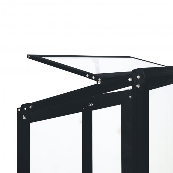 Korkea minikasvihuone | 4mm turvalasi | Musta