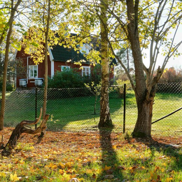 Villa-aitaus 150cm korkea | 25 metrin paketti