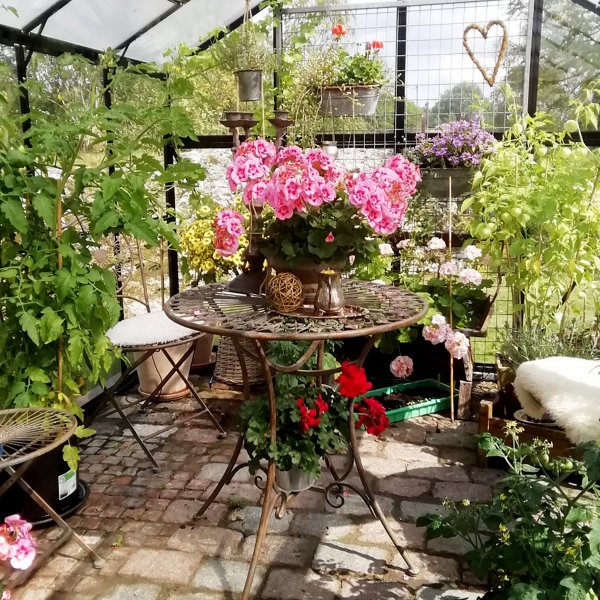 Lasikasvihuone 11,1m | 4mm turvalasi | 5 vuoden myrskytakuu